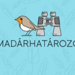 madarhatarozo_app_cl