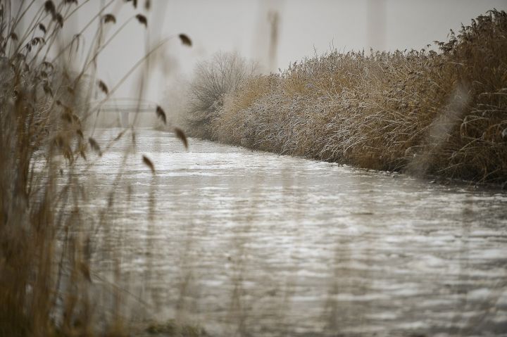 Ecsegfalva, 2016. december 20. A Hortobágy-Berettyó folyó befagyott szakasza a Békés megyei Ecsegfalva közelében 2016. december 20-án. A hideg idõjárás miatt elkezdett teljesen befagyni a folyó, néhol öt centiméter vastagságú a jég. MTI Fotó: Czeglédi Zsolt
