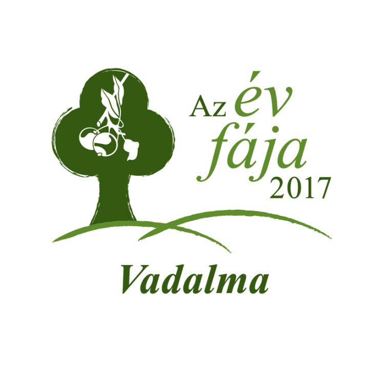 vadalma_ev_faja_logo_2017_rgb