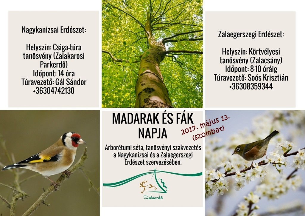 Madarak_és_fák_napja_web