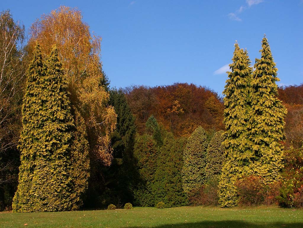 Csácsbozsoki Arborétum (Fotó: Zalaerdő Zrt.)